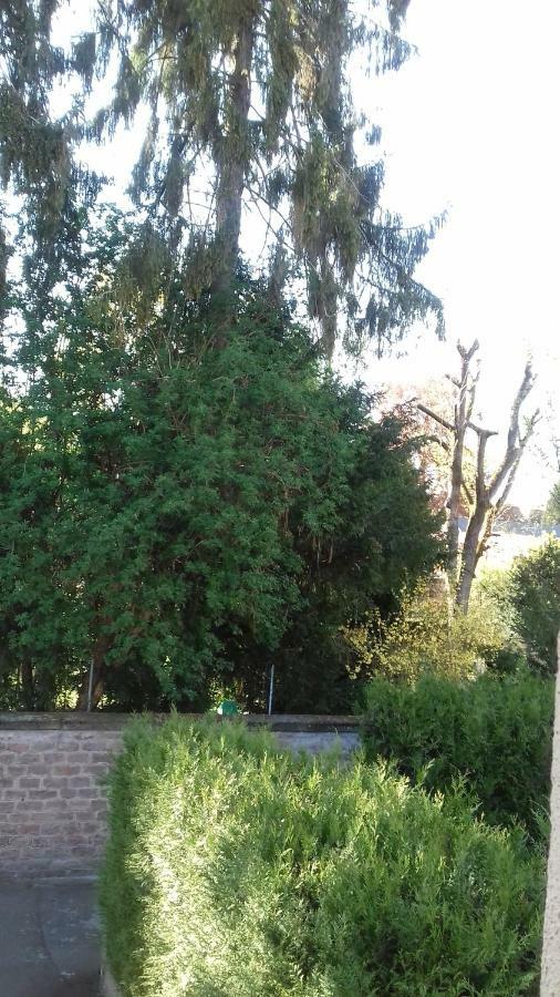 Gite Le Jardinier 에피날 외부 사진